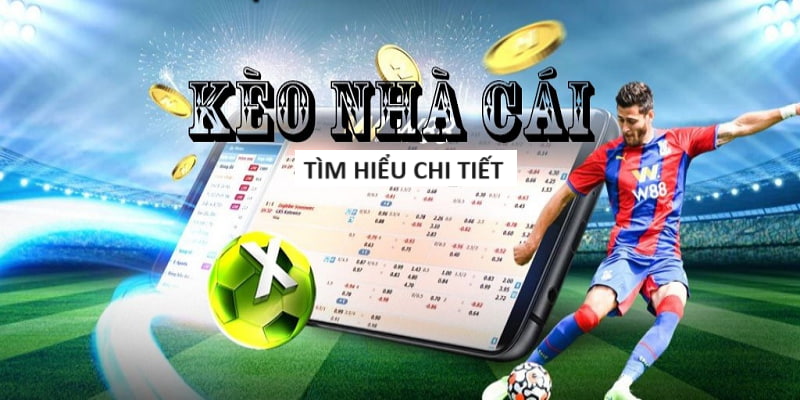 Chia Sẻ Tâm Lý Cần Thiết Khi Chơi Game Đổi Thưởng Tại M88